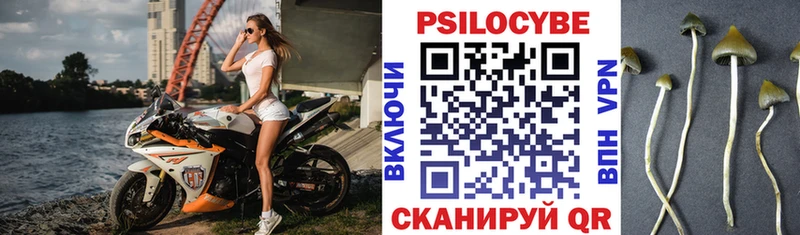 Галлюциногенные грибы Psilocybe  сколько стоит  Киренск 